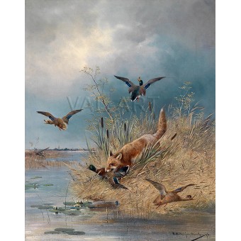 Лисица сред диви патици (1896) РЕПРОДУКЦИИ НА КАРТИНИ